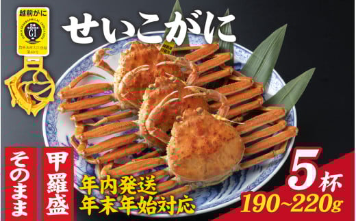 【先行予約】選べる！美味しさ直送【成前特選】せいこがに（190g～220g）×5杯【年内発送・年末年始対応】甲羅盛【J-028011_07】 /  正月 ズワイガニ 甲羅盛り 越前がに かに 蟹 楚蟹 セイコ蟹 越前かに 香箱がに こうばこがに 親ガニ こっぺがに せこがに 甲羅蟹 甲羅がに 香箱蟹 メス ずわいがに カニ セイコガニ