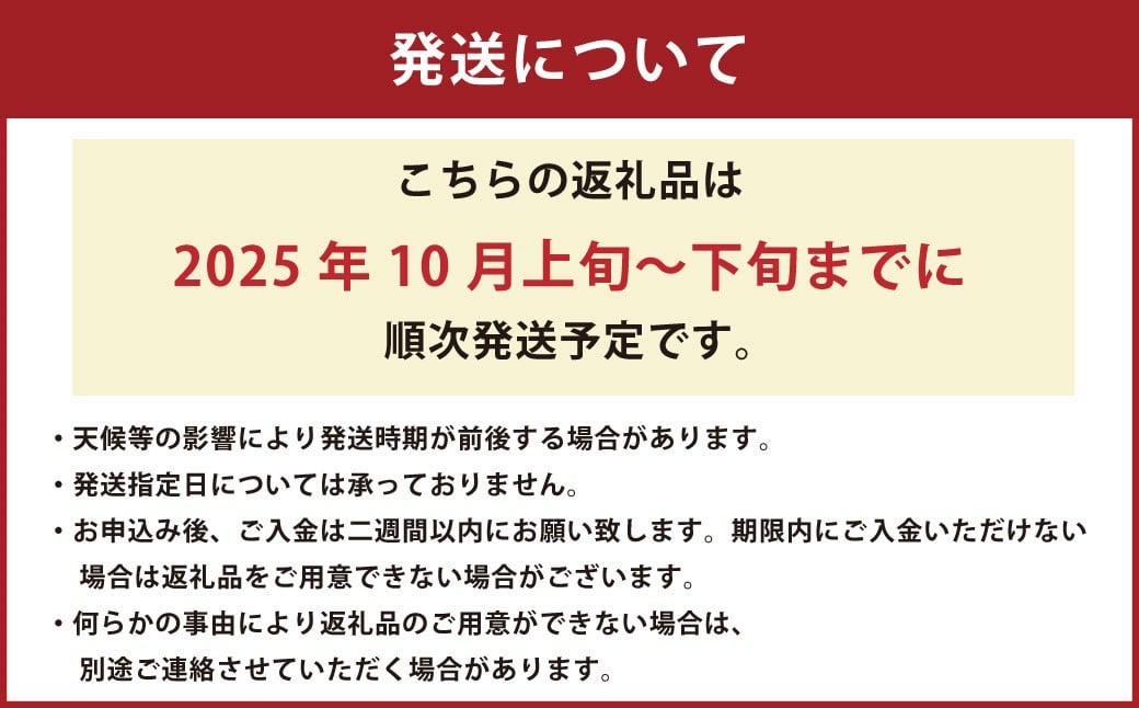 熊本県 河内産 みかん ゆら早生 5kg 有機肥料使用