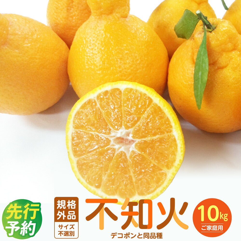 【ふるさと納税】＜ R8年熊本地震復興支援 ＞ 【規格外品】不知火 ご家庭用 10kg サイズ不選別 訳あり デコポン みかん フルーツ 果物 柑橘 熊本県産 九州産 先行予約 送料無料【2027年1月下旬～3月下旬迄発送予定】