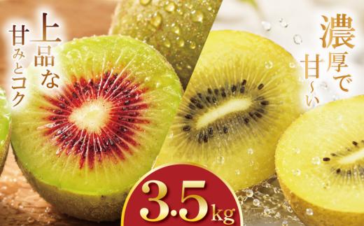 訳あり キウイフルーツ 食べ比べ セット3.5kg 先行予約 2026年10月上旬～ ゴールデンキウイ 紅妃 レインボーレッド キウイ 国産キウイフルーツ キウイフルーツゼリー キウイフルーツジュース キウイフルーツジャム キウイフルーツタルト キウイフルーツビタミンC キウイフルーツ追熟 キウイフルーツ訳あり 果物  キウイフルーツギフト プレゼント 贈答 送料無料 徳島県 吉野川市 くゆな農園
