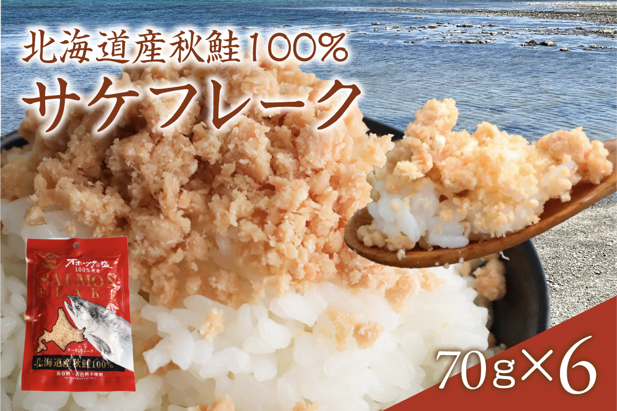 サケフレーク × 6p 鮭フレーク サーモンフレーク 鮭ほぐし 北海道産 R015-006