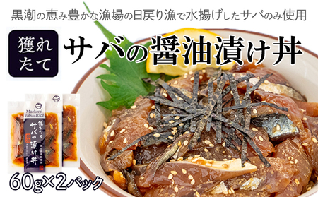 漬け丼セット 5種類 各2パック 計 10 セット お茶漬け 鰹 の タタキ かつお カツオ サバ さば 鯖 真鯛 鯛 たい タイ カンパチ 勘八 ブリ 鰤 海鮮 丼 漬け丼  高知県 須崎市