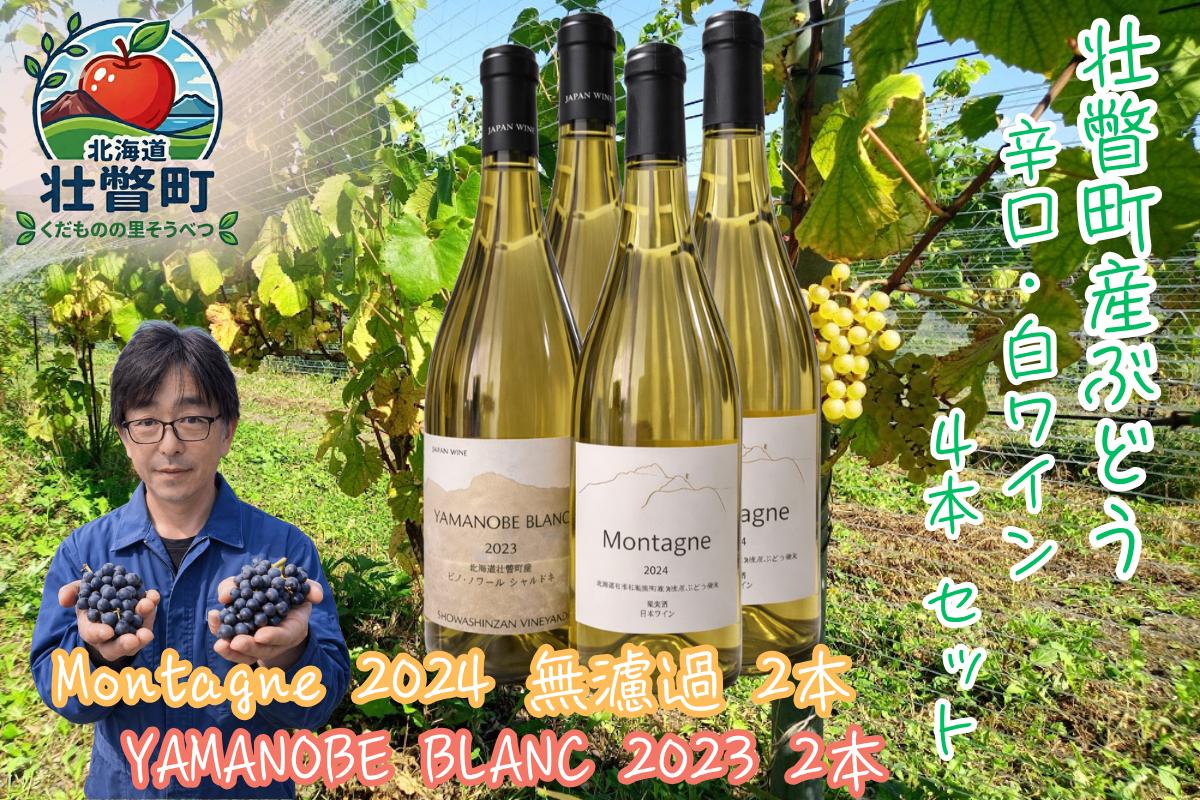 
                  昭和新山ワイン YAMANOBE BLANC 2023(ヤマノベブラン）、Montagne 2024 無濾過(モンターニュ）白ワイン 辛口 750ml 各2本セット【ふるさと納税 人気 おすすめ 白ワイン 昭和新山 ワイン 白 辛口 お酒 壮瞥町産 ぶどう 100％ ピノノワール シャルドネ ケヴェルツトラミネール 丹波ワイン セット 飲み比べ 北海道 壮瞥町 送料無料】SBTQ015
                