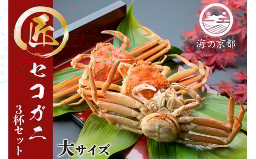 セコガニ コッペがに 大サイズ 3杯セット （冷蔵）〈11月中旬～12月下旬発送〉  蟹 カニ かに 松葉蟹 松葉ガニ ズワイガニ ボイル[№5716-0292]