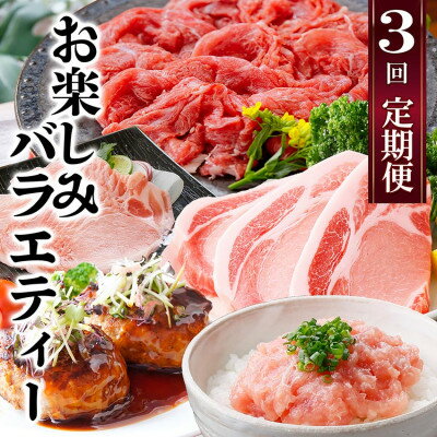【ふるさと納税】定期便3回配送　お楽しみバラエティー　OO-0004【配送不可地域：離島】【1528204】