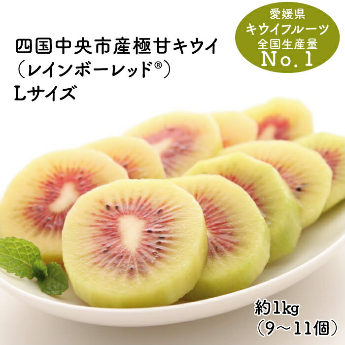 【ふるさと納税】【25年8月受付開始】 ＜10月下旬以降発送＞ 最高糖度 20度超の極甘！ レインボーレッドキウイ(四国中央市産極甘キウイ） Lサイズ約1kg（9〜11個）