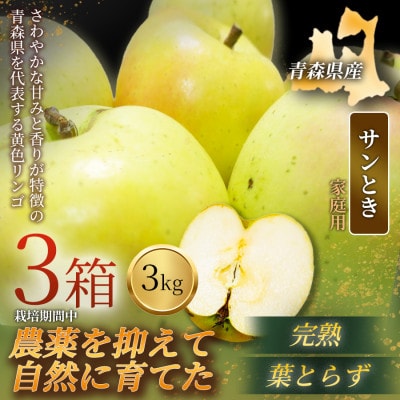 【青森直送 季節の味覚をお届け!】サンとき 3kg×3箱(家庭用)2026年産 産地直送 限定生産【配送不可地域：離島】【1700959】