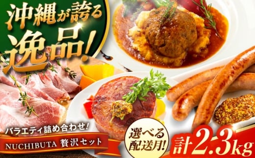 【2026年1月発送】 『NUCHIBUTA 贅沢セット』 豚肉 ハンバーグ ソーセージ ハム 詰め合わせ お取り寄せ 国産 ギフト 冷凍 沖縄市 / DELICATESSEN NUCHIBUTA[BCAR008-1]