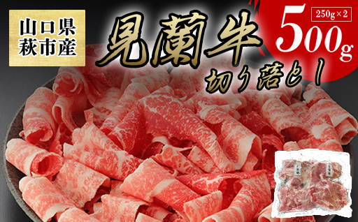 【数量限定】山口県萩市産 見蘭牛 切り落とし 500g (250g×2)国産  肉 お肉 牛