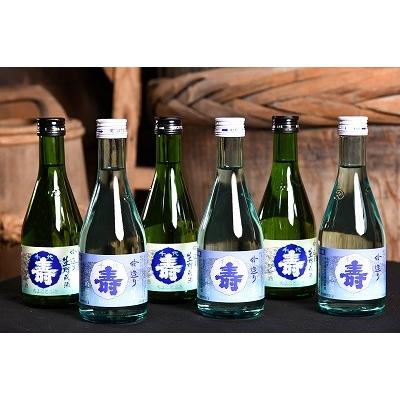 ふるさと納税 寒河江市 【山形の地酒】吟醸生酒と吟醸生貯蔵酒 計6本セット(各300ml)　010-E18