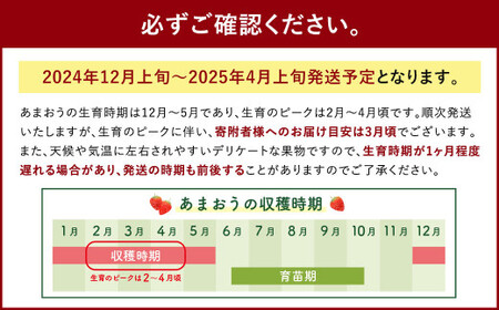 いちごの王様 あまおう 約280g×4パック 約1120g【2024年12月上旬～2025年4月上旬発送予定】 いちご イチゴ 苺 フルーツ