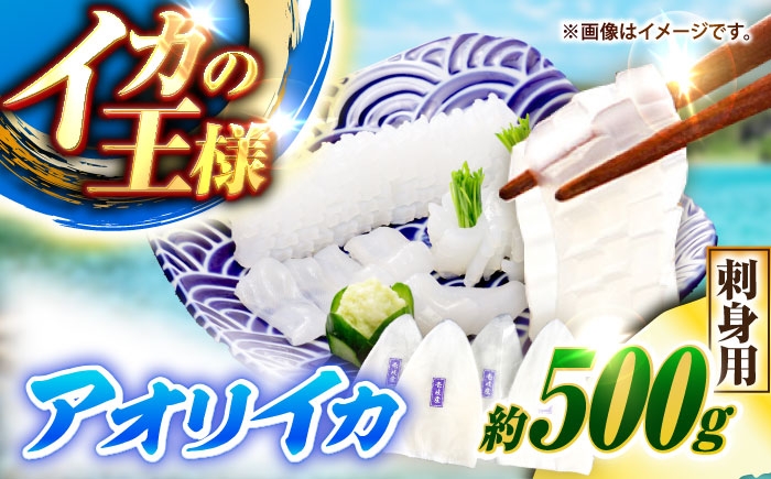 
                  【冷凍】アオリイカ 刺身用 500g　水烏賊 《壱岐市》 【一支國屋】海鮮 烏賊 イカ いか 刺身 刺し身 お刺身 アオリイカ 冷凍配送 [JCC023]
                