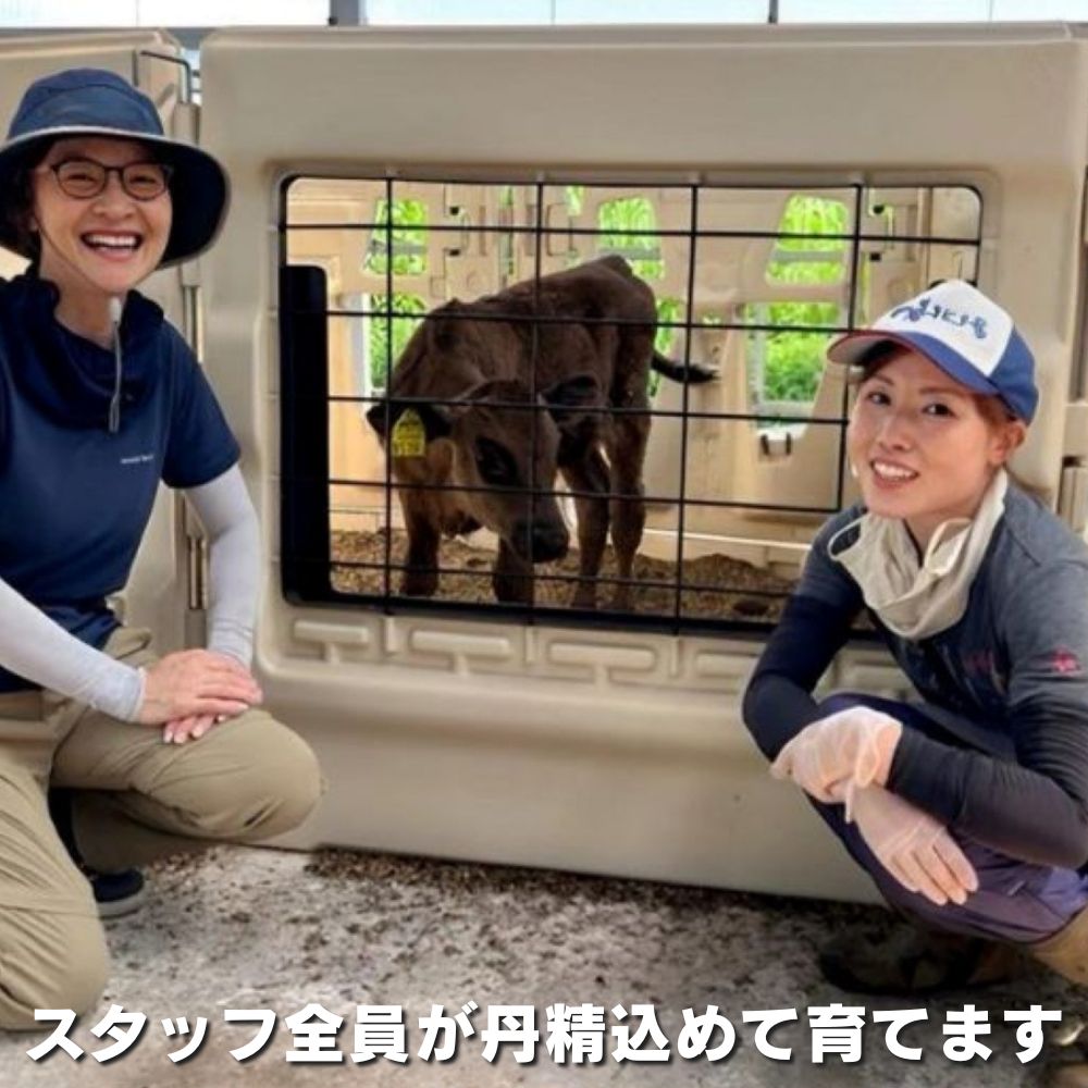 ＜定期便＞加藤牧場 黒毛和牛 ロース・肩ロース 1kg【4回発送】松阪牛の品評会で最優秀賞受賞歴│牛肉 国産牛 国産 和牛 大容量 冷凍便 ロース 肩ロース 肉 上質 焼肉 しゃぶしゃぶ すき焼き_イ