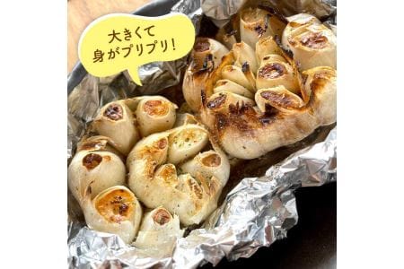にんにく500g 大きい！美味しい！糸島からお届けする自慢のにんにくです（数量限定）《糸島》【爽風農園】【いとしまごころ】[AHZ001] 送料無料 にんにく ニンニク ガーリック 500g 数量限定