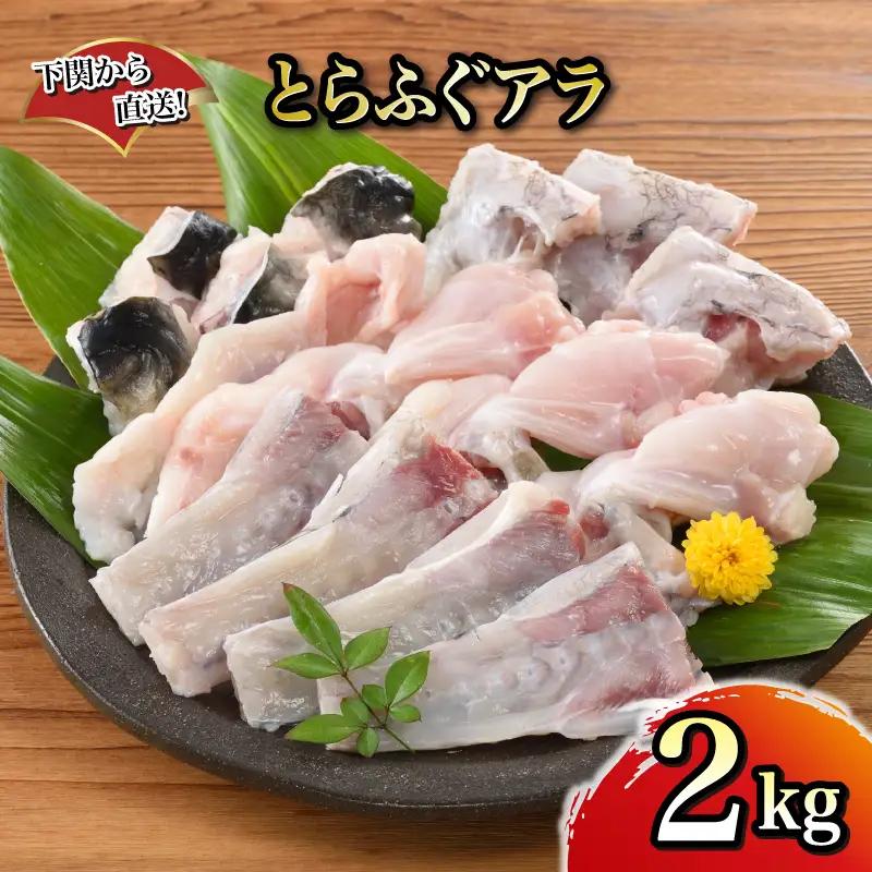 【とらふぐ アラ】 ふぐ フグ あら 2kg 関門ふぐ 高級魚 鮮魚 | FG052