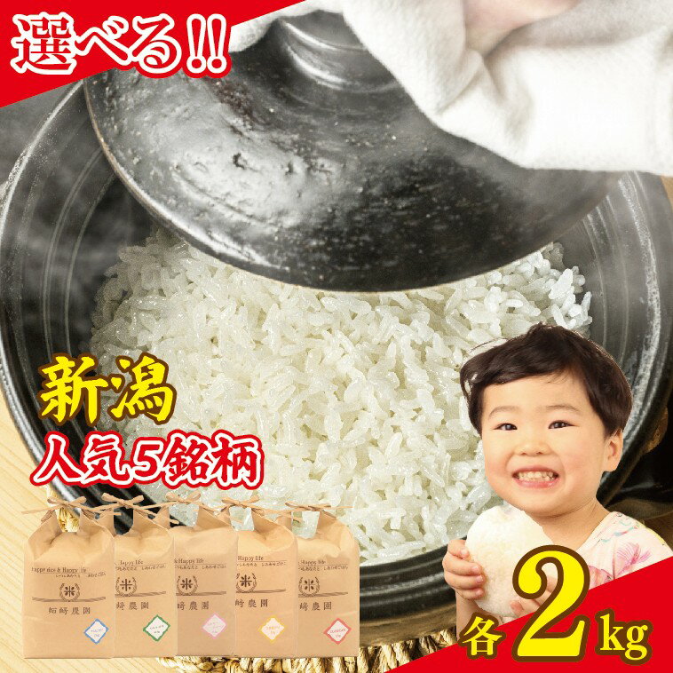 【ふるさと納税】 新米 コシヒカリ 2kg 選べる 5品種 令和7年産 先行予約 白米 米 こしひかり こしいぶき ミルキークイーン つきあかり にじのきらめき こめ ごはん おにぎり お弁当 特別栽培米 農家直送 産地直送 姉崎農園 新潟産 新潟県 新発田市 anezaki007P