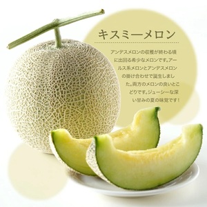 SA2893　特選 庄内産 キスミーメロン　約4kg(青肉 大玉/2玉入つる付)
