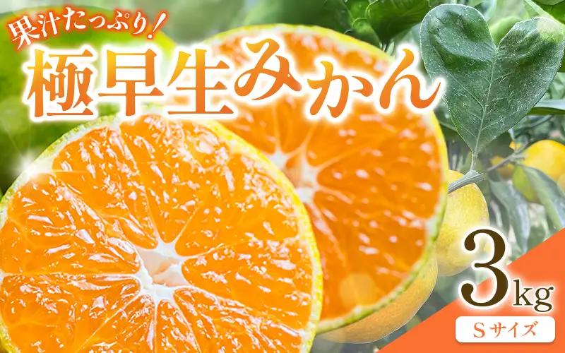 みかん3kg（Ｓサイズ）先行予約 果汁たっぷりの極早生 【期間限定・8/31まで】 /   柑橘  フルーツ 果物 和歌山県 みかん 【kjt015】