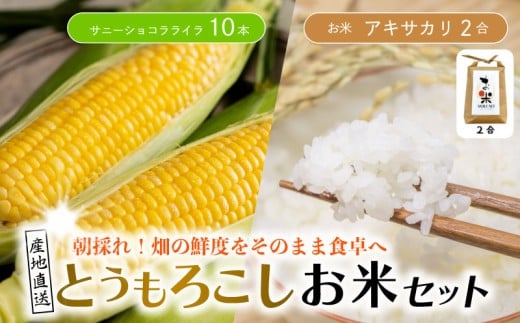 とうもろこし 米 セット サニーショコラライラ 10本 4kg コメ 2合 お米 アキサカリ ごはん 先行予約 トウモロコシ コーン スイートコーン 甘い とうもろこしご飯 レシピ付き 期間限定 夏 旬 野菜 鍋 炒め物 煮物 スープ 弁当 惣菜 おかず 健康 新鮮 国産 送料無料 吉野川市 徳島県