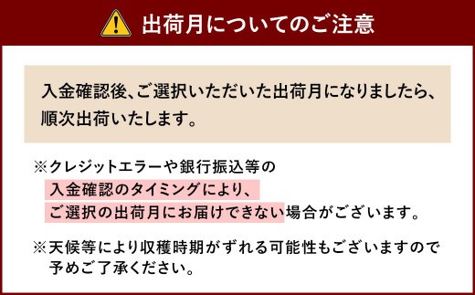 相良村産 ブルーベリー 1.2kg