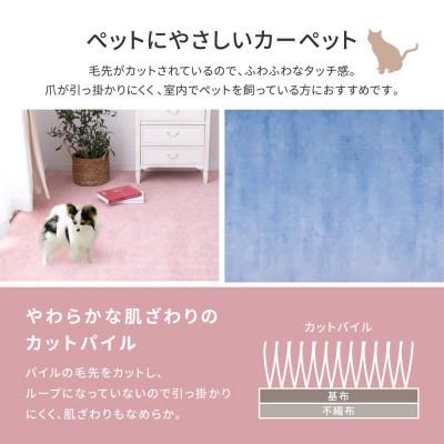 ふるさと納税 泉大津市 パステルカラーの日本製　抗菌カーペット　ブルー　4.5帖　約261×261cm　600004345 |  | 02