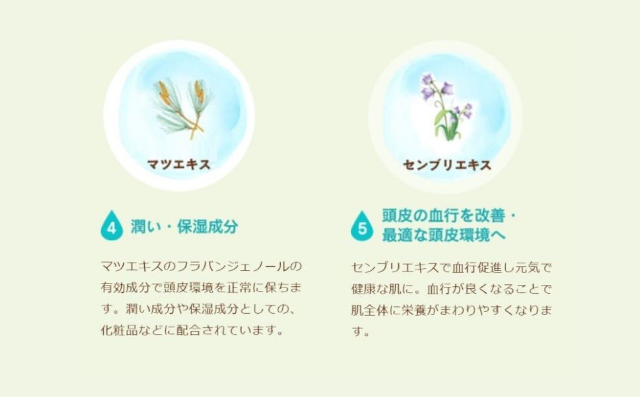 100%天然のヘアシャンプー「夢見るシャンプー」300ml 3本セット【シャンプー ヘアケア 浴用 オーガニック 天然由来 ナチュラル 三重県 四日市市 ふるさと納税】