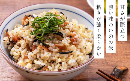 令和7年産！ファーム坂口の特別栽培米 ゆめぴりか玄米 5kg