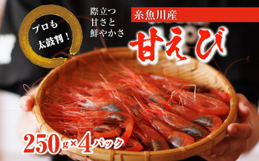 【プロも太鼓判！】糸魚川産『甘エビ』1kg（250g×4ﾊﾟｯｸ）約70尾 際立つ甘さと鮮やかさ 鮮度抜群 日本海直送 新潟 あまえび 甘えび 南蛮エビ お刺身 瞬間 冷凍 新鮮