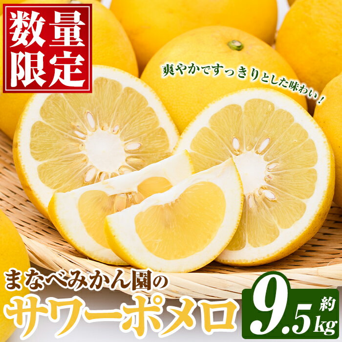 【ふるさと納税】＜先行予約受付中！2027年2月下旬以降順次発送予定＞まなべみかん園のサワーポメロ (約9.5kg) 国産 鹿児島県産 阿久根市産 柑橘類 みかん ミカン 蜜柑 果物 フルーツ サワーポメロ 期間限定 数量限定 デザート 【有限会社まなべみかん園】akn034-07
