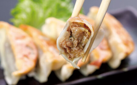 熊本 和牛 あか牛 ぎょうざセット 60個 【有限会社 三協畜産】[AYCQ003]