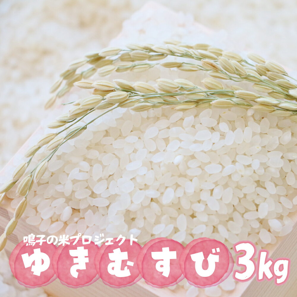 【ふるさと納税】鳴子の米プロジェクト ゆきむすび 3kg【2025年産】 米 お米 ごはん 白米 精米 鳴子温泉産米 お米鳴子のお米 大崎市産 宮城県 大崎市