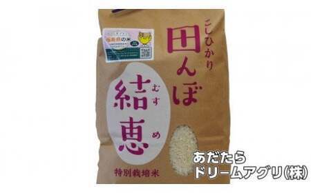 【新米予約】 5kg コシヒカリ 特別栽培米 福島県 大玉村 【 令和7年産  】おいしいお米 コンクール 受賞米 あだたらドリームアグリ ｜ お米 福島 米作り 令和7年 精米 白米 米 ｜ da-