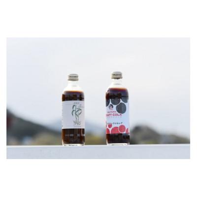 ふるさと納税 ときがわ町 伝説のジンジャエールシロップ+埼玉クラフトコーラシロップのセット