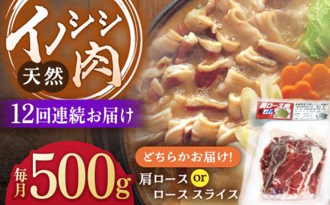 【12回定期便】ジビエ 天然イノシシ肉 肩ロース ＆ ロース スライス500g【照本食肉加工所】 [OAJ044]