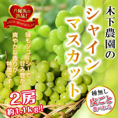 2025年9月中旬発送開始　木下農園のぶどう「シャインマスカット」2房 【C39−19】【配送不可地域：離島】【1234154】