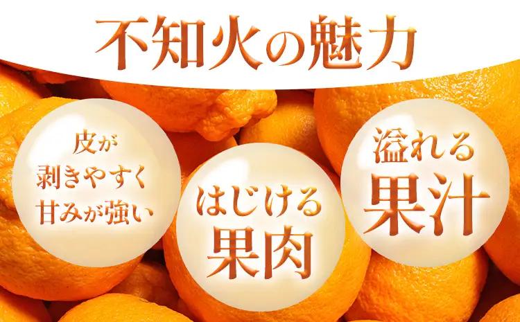 不知火   10kg  日本フルーツ株式会社 熊本県 荒尾市 《2月上旬-4月上旬頃出荷》 デコポン 果物 フルーツ スイーツ デザート ギフト ご贈答 しらぬい