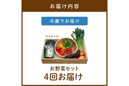 【定期便】合計4回お届け　有機野菜・京野菜の『京都やおよし』の京丹後・亀岡市お野菜詰め合わせ　※北海道、離島、沖縄地域への発送不可