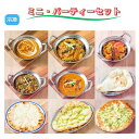 【ふるさと納税】カレー インドカレー ナン インド料理 パーティ セット 5種類 200g × 5パック チーズナン ガーリックナン ガーリックチーズナン プレーンナン 4種類 計 5個 野菜カレー 本格カレー スパイス ギフト セット 冷凍 手のばし 手作り 美味しい 絶品 おすすめ