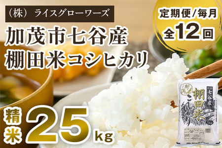 【令和8年産新米先行予約】【定期便12ヶ月毎月お届け】七谷産 棚田米コシヒカリ 精米25kg（5kg×5）《10月上旬～順次出荷》 白米 （株）ライスグローワーズ