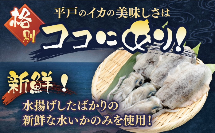 【全3回定期便】【着日指定 可能】【身が厚く柔らかい】漁師の水烏賊一夜干し 約300g（2〜3枚） 平戸市 / 中野漁業協同組合 [KAB243]