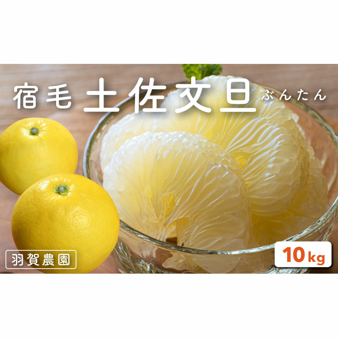 【ふるさと納税】 羽賀農園 土佐文旦 家庭用 10kg 通常サイズ 小玉サイズ 柑橘 果物 フルーツ 特産品 文旦 ぶんたん ブンタン 高知県 返礼品 旬 季節 贈答用 ギフト 贈り物 果汁 甘酸っぱい ビタミンC 食物繊維 健康 美容 産地直送 新鮮 宿毛市 高知県 14000円