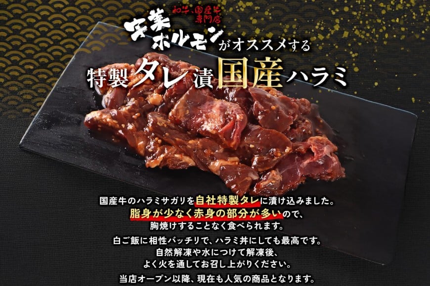 牛肉 焼肉 国産 特製たれ漬 牛ハラミ サガリ 750g [宇美ホルモン 福岡県 宇美町 um40azp100004] ハラミ はらみ 牛はらみ 小分け 個包装 牛 肉 焼き肉 ホルモン タレ漬け たれ漬け