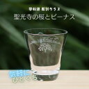 【ふるさと納税】蓼科湖 彫刻グラス「聖光寺の桜とビーナス」1個　冷酒・ジュースグラス(小)【1542636】