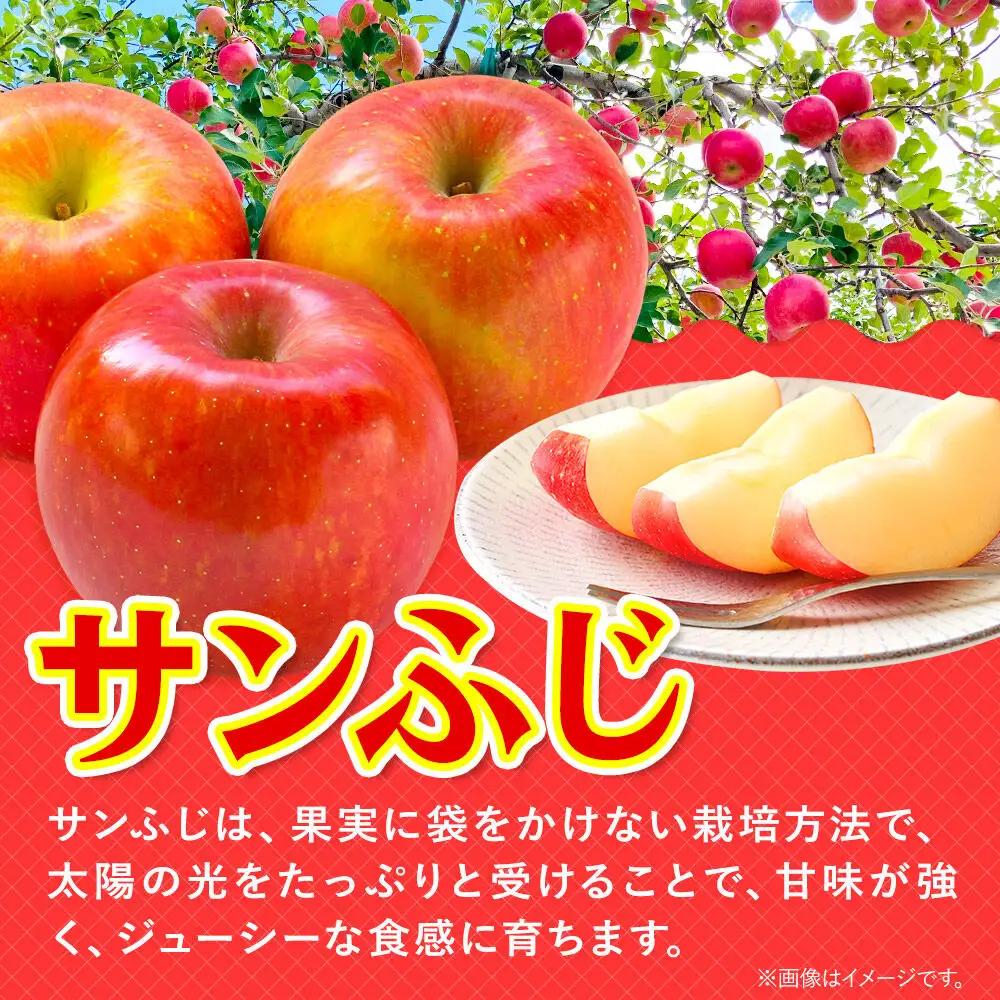 りんご サンふじ・王林 詰め合わせ 贈答用 約10kg【2月発送】りんご