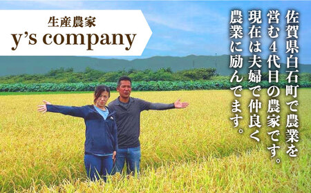 【先行予約】農家直送！こだわり玉ねぎ 約5kg ～山口さんちの贈り物～【y'scompany】 [IAS011]