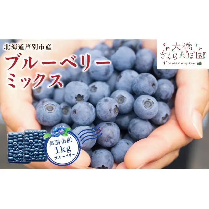 ブルーベリー 1kg 8品種 冷蔵 大粒 小粒 北海道