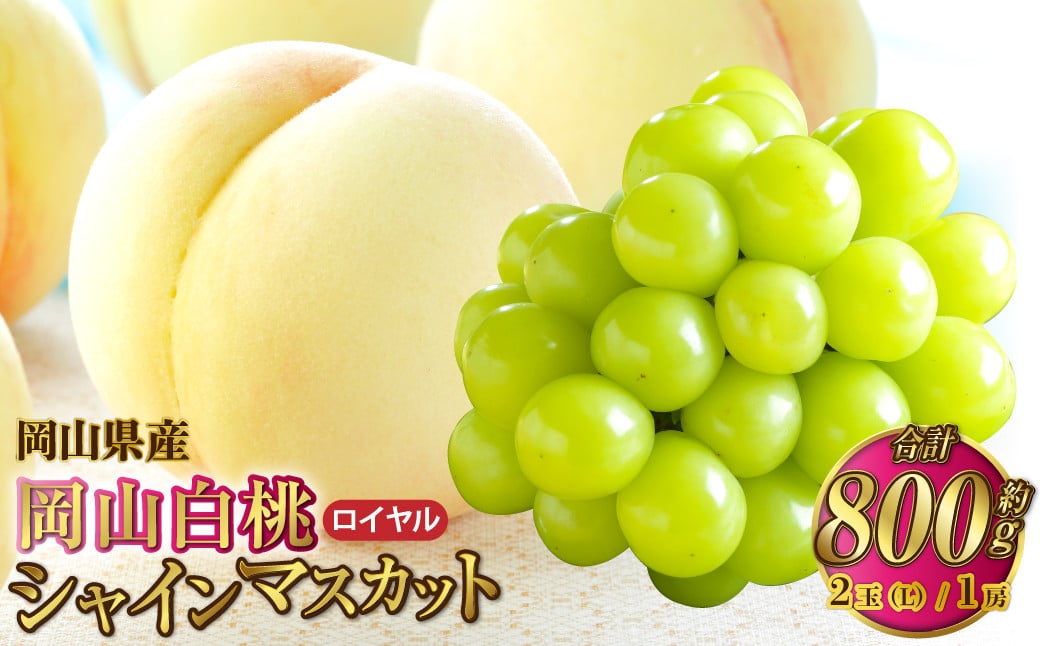 
            岡山県産 岡山白桃 ロイヤル Lサイズ 約200g×2玉・シャインマスカット 晴王 約400g×1房 詰合せ 【2026年7月上旬～8月下旬発送予定】 白桃 桃 もも モモ マスカット ぶどう 葡萄 ブドウ セット
          