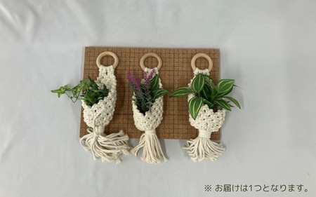 ハンドメイド  マクラメ　小物入れ /  マット テーブルウェア 敷物 雑貨 手作り 【stn004】