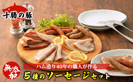 無添加豚ソーセージ・ベーコン・ハム 5種セット 計479g 豚肉
