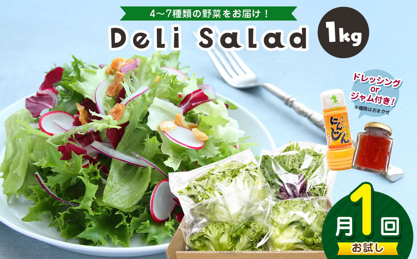 
            サラダミックス 【 お試し 月1回 】＼ デリサラダ ／ Deli Salad ★ ドレッシング or ジャム付き セット サラダ ミックス 1kg | アグリード お手軽 ミックス野菜 西洋ハーブ 個別包装 新鮮 おいしい 美しい野菜 水耕栽培 安定の品質 健康 千葉県 君津市 きみつ
          